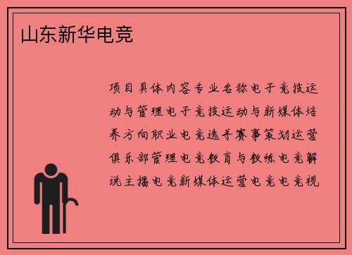 山东新华电竞